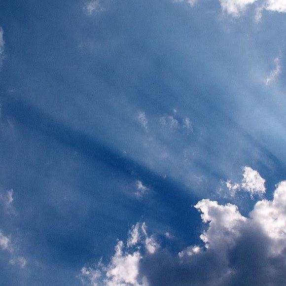 Meet your Posher, Lynnette - Picture 2 of 2